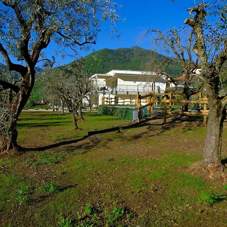 Costa Blu-pool And Terrace With View Appartamento Riva di Solto